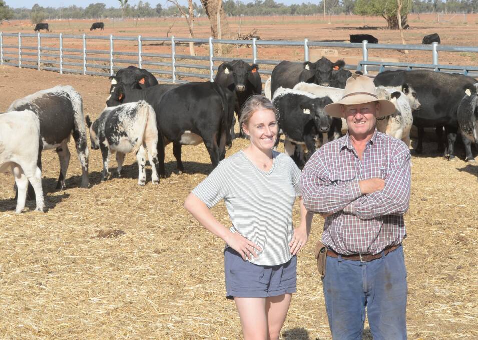 Jack Carter with daughter Emily Stanton, Innaminna, Nyngan, and their purebred Canadian embryo calves on their recipient mothers.