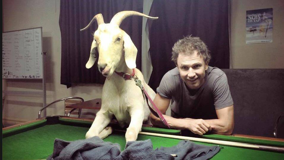Gary, one half of a comedy duo with Jim Bazoobis, was euthanised last night after doctors discovered a bleed from an acute heart tumour. Photo via Gary The Goat's 1.7 million-fan Facebook page. 