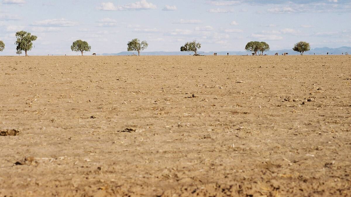 The Coonamble drought. Photo: Neville Owen. 