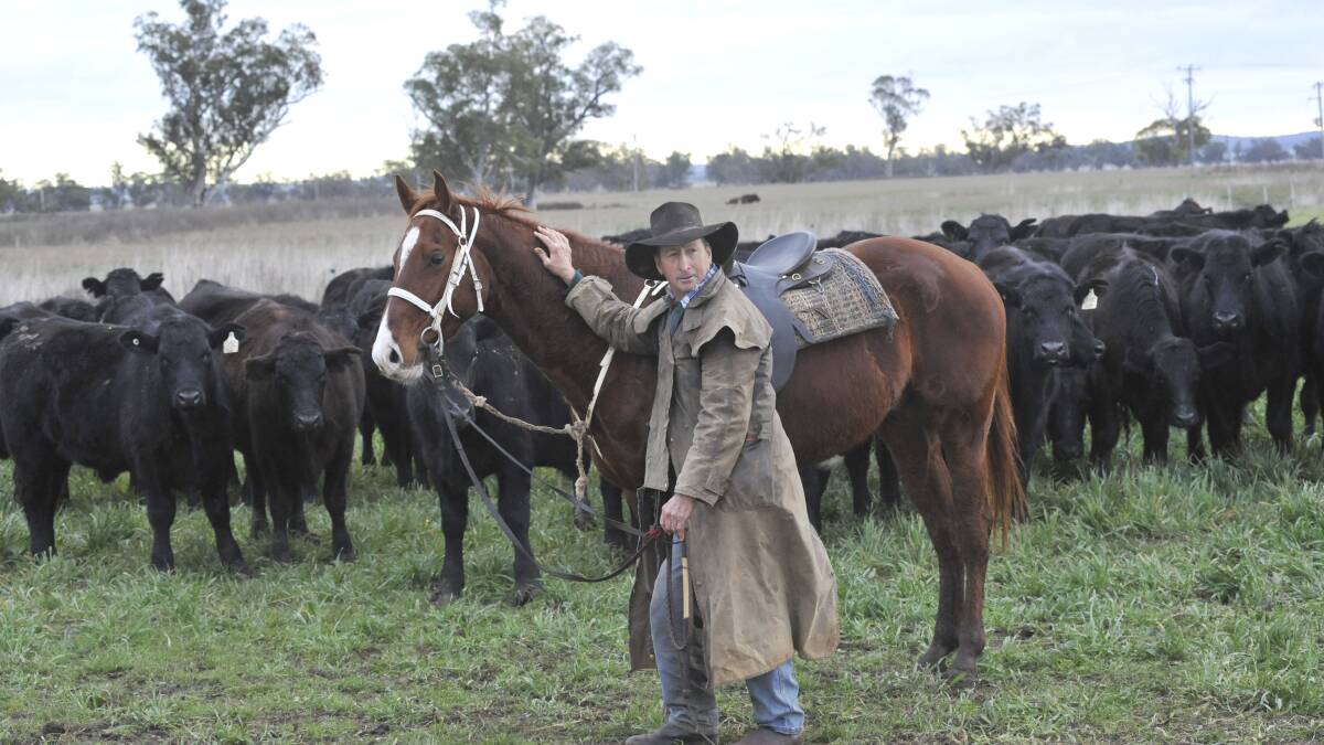 Jim Bowman on "Merothrie" a few years ago rounding up Angus cattle. He helped saved his family farm as the Sir Ivan fire raged nearby on Sunday.
