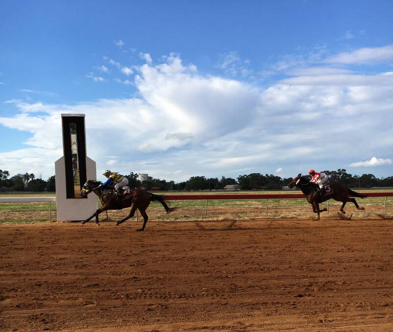 VICTORY: Keepcalmandcarryon was another of the winners at Nyngan during Tuesday's Anzac meeting. Photo: GRACE RYAN