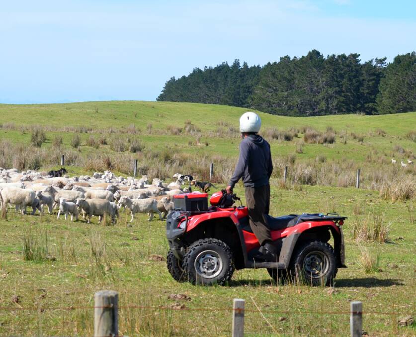 STOP QUAD BIKE DEATHS: We must all commit to farm safety and quad bikes are tools of the trade just like any other farm machinery and must be treated as such.