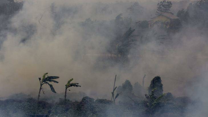 Indonesian fires, made worse by last year's El Nino, are partly to blame for a jump in global greenhouse gas levels. Photo: Ulet Ifansasti, Getty Images