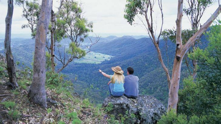 Lamington National Park on the Gold Coast. Photo: Tourism and Events Queensland