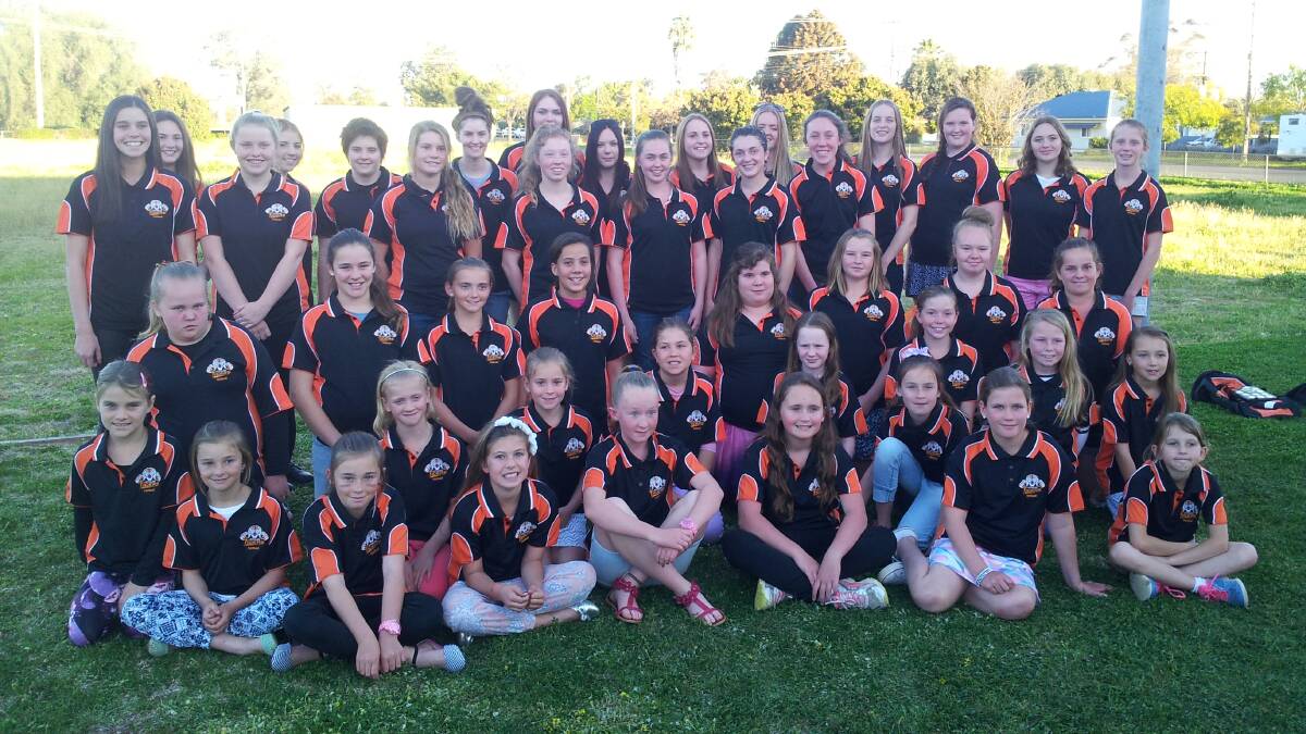 Nyngan netballers enjoyed their season in the Dubbo 2014 competition.