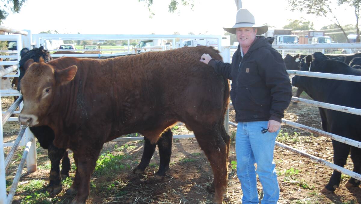 Austin Steer from Trangie, one of the many exhibitors at the 2014 Nyngan Ag Expo.