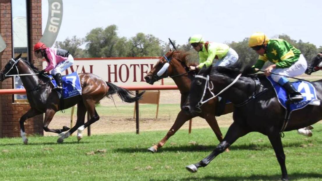 Alotafox (green silks, yellow cap) falls short against stablemate Moon Over Menah (pink and black silks) at Gilgandra on January 1. She'll be aiming to break the drought at Gilgandra on Saturday. Photo: AMY MCINTYRE