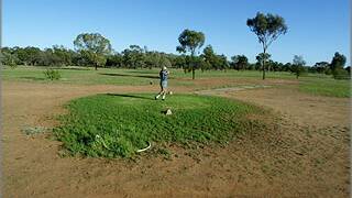 Coming Up: For the veteran golfers the Nyngan game is Thursday, June 28 with a 9am start. 
