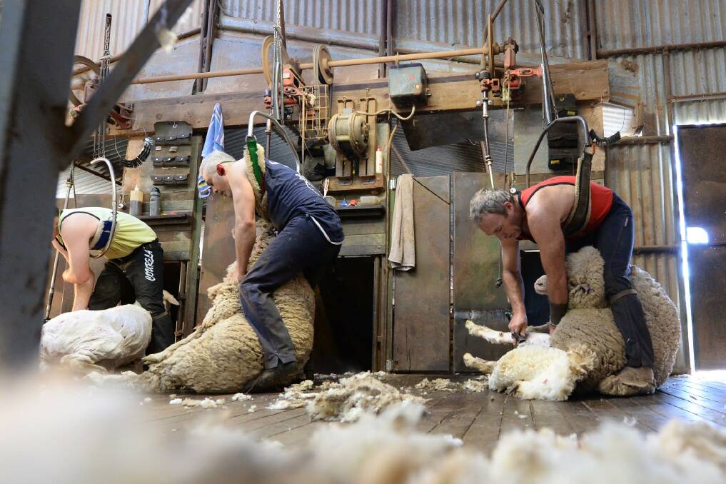 The payment of above award rates for shearers is proof farmers can afford to pay more, according to the Australian Workers' Union.