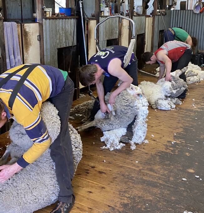 IN DEMAND: Shearers are in hot demand across Australia, as a bidding war has broken out - some offering well above award rates. At the same time, the AWU says it wants a lift in award rates.