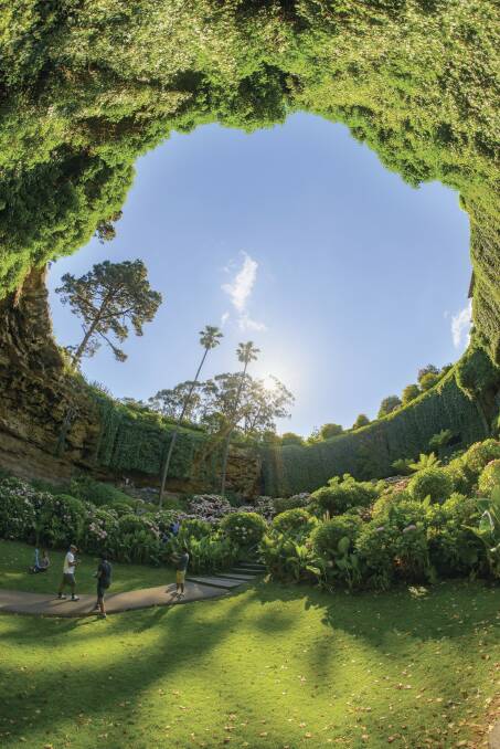 THAT SINKING FEELING: Get swallowed up by nature in the Umpherston Sinkhole. Photo: Adam Bruzzone/SATC