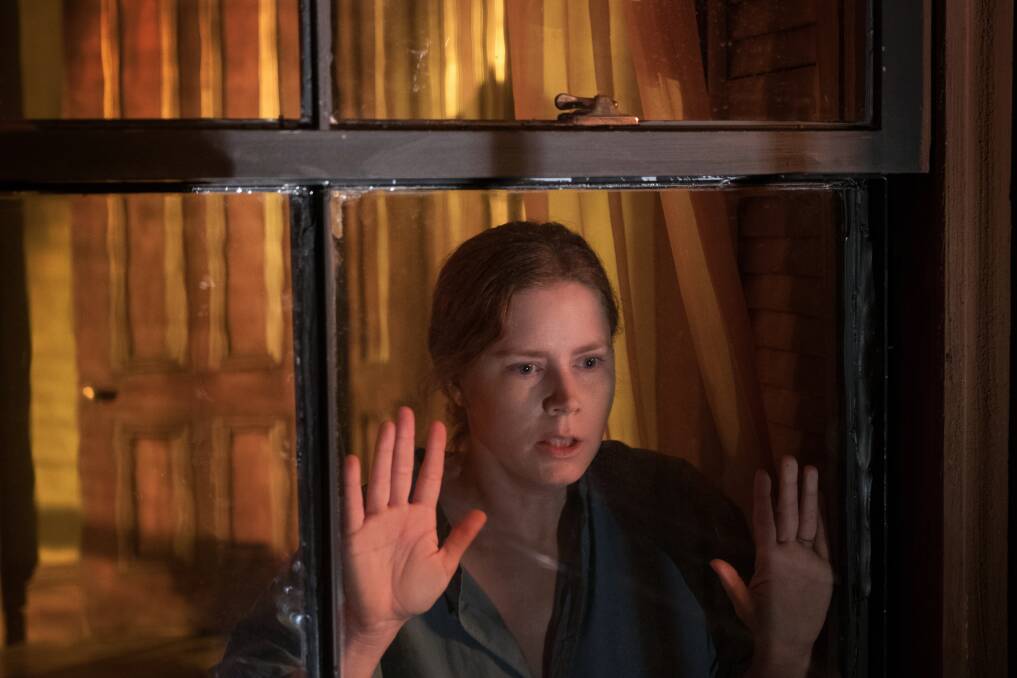 DISAPPOINTING: Amy Adams in Window In The Window.