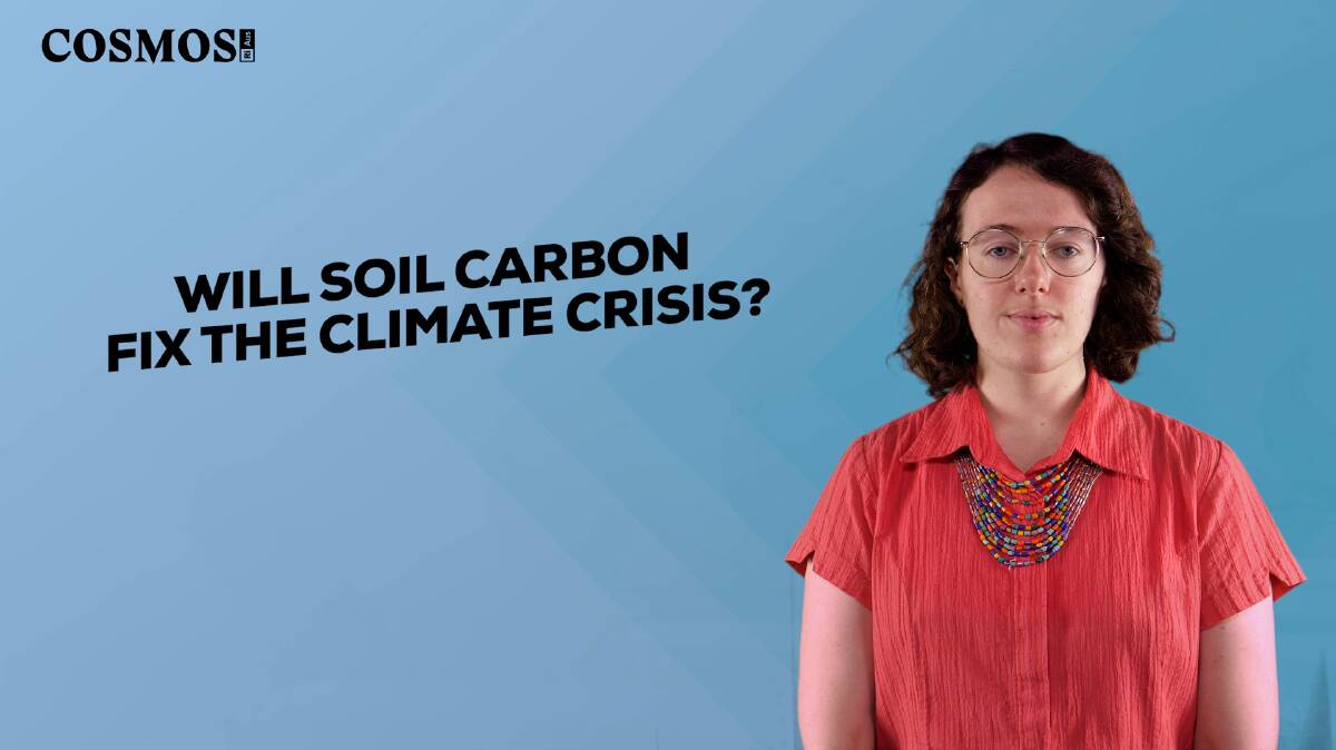 CLIMATE SOLUTIONS: Cosmos science reporter Ellen Phiddian. Picture: supplied