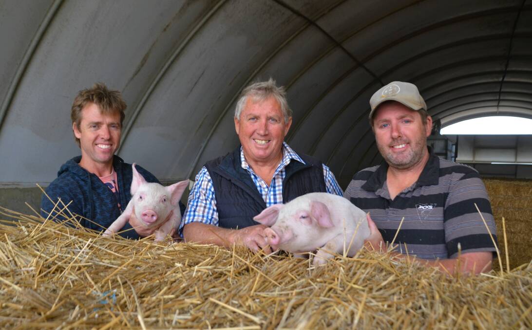 Wild Horse Plains, South Australia, pork producers Heath, Lindsay and Luke Walker have weathered the storm of fluctuating pork prices but are hoping customer support could help ease the uncertainty. 