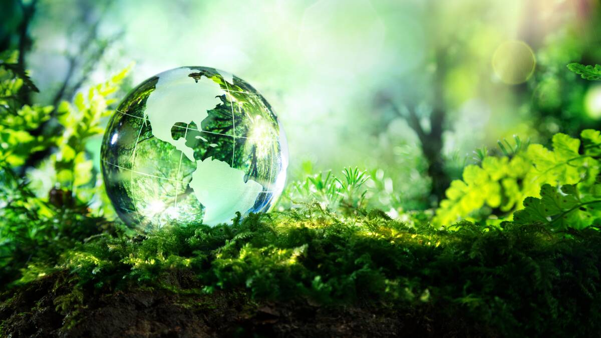 Have a go: Someone has to car for the planet, right? Photo: Shutterstock
