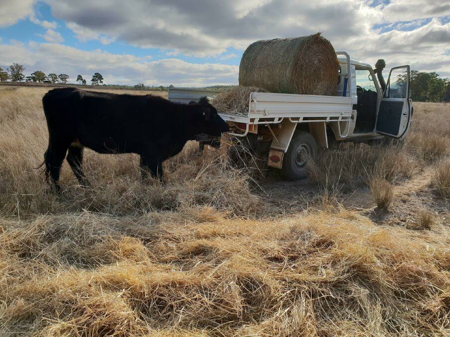 Jenn Sansom is carting hay and water for her cattle and horses, and has had to sacrifice her dream property, but it's a decision she's not looking back on. 