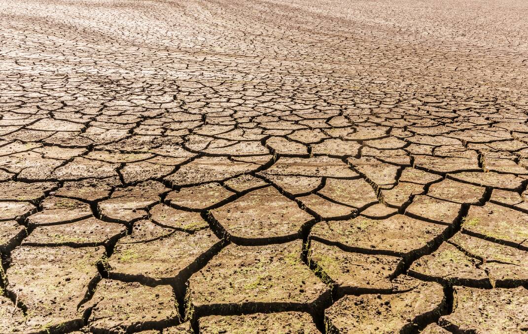 Bogan Shire mayor Ray Donald says it's now up to the state government to help provide some relief for drought-stricken farmers. Photo: FILE 