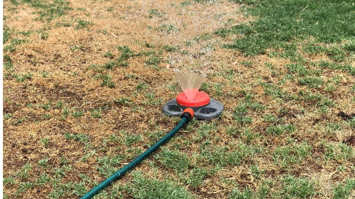 RESTRICTIONS: With drought gripping the state and temperatures rising, the Bogan Shire Council have announced level two water restrictions for the shire. Photo: ZAARKACHA MARLAN