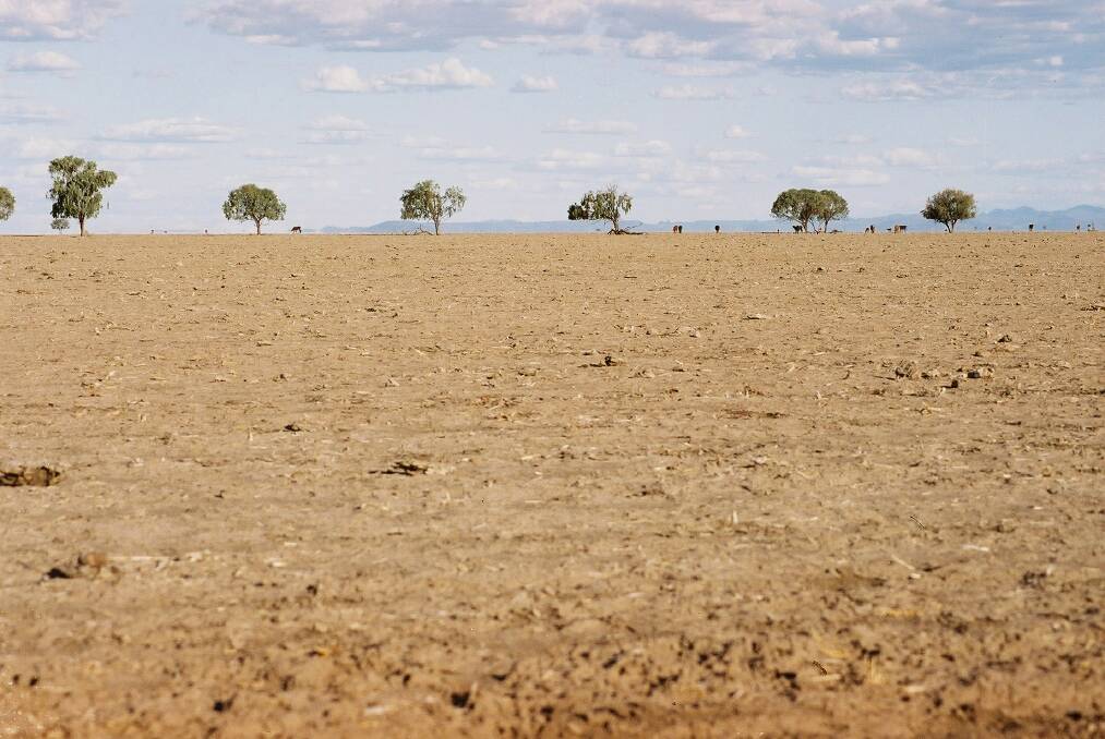 RELIEF NEAR: While temperatures are expected to drop this week, Bogan Shire Mayor Ray Donald discusses the impacts of the hot, dry summer on the town. Photo: FILE