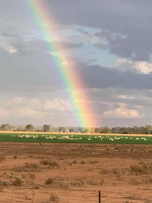 CAPTURED: Jen Cross captured the rainbow after the rainfall on Sunday at a property outside of Nyngan. Photo: JEN CROSS