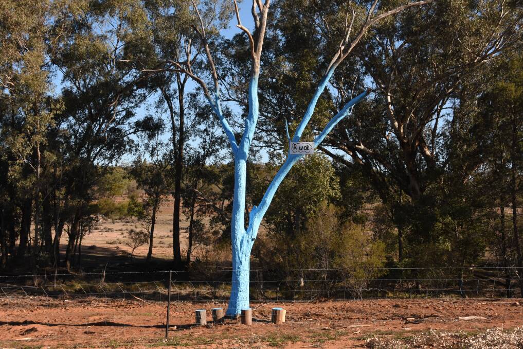 NEW LEAF: One tree pained blue in Barmedman, NSW is one of 427 trees in Australia and overseas. Photo: Shantelle Stephens. 