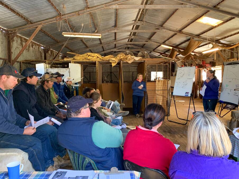 EARLY WEANING: Senior Land Services Livestock Officer, Sue Street, presenting to landholders at the Gin Gin workshop last week. Photo: CONTRIBUTED