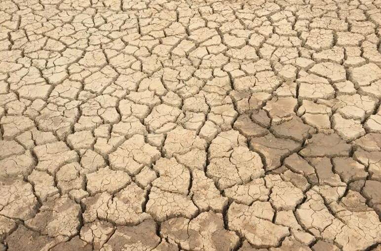 NSW Government relaxing off-farm asset test to making it easier to receive drought support. 