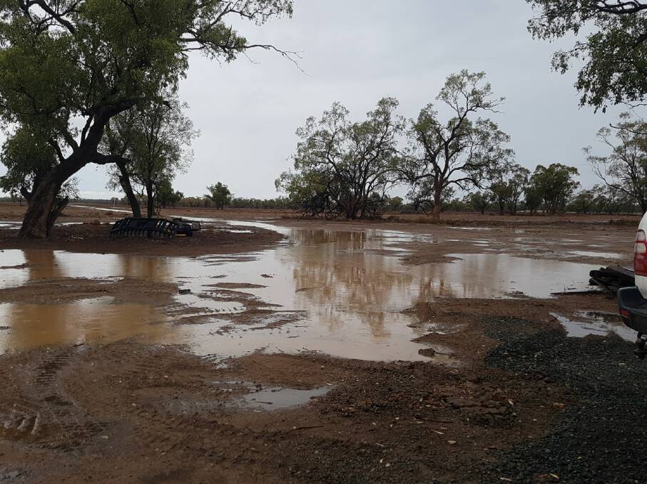A TERIFFIC START: Nyngan after 20.5 milimetres fell. Photo: CONTRIBUTED