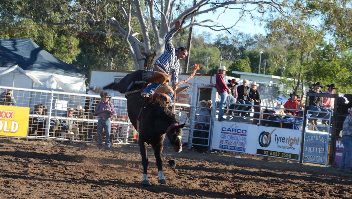 Cancelled: The Coonamble Rodeo and Campdraft is the biggest event of its kind in the southern hemisphere. Photo: Taylor Jurd