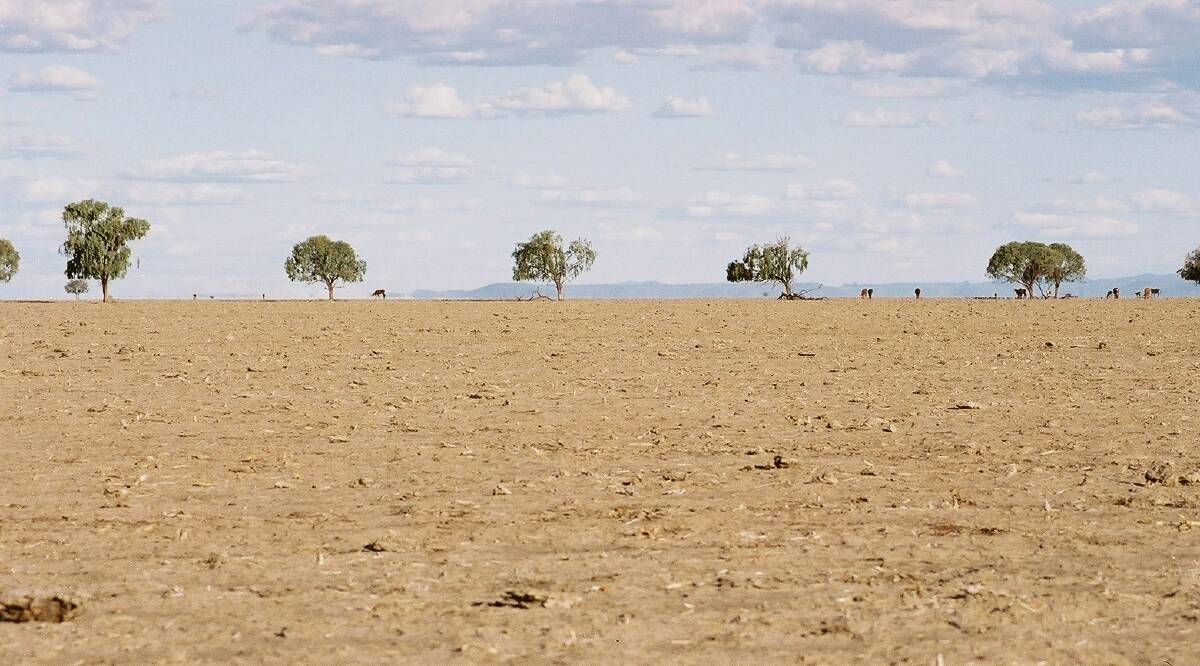 The report found that in NSW the median price per hectare of farmland increased by 9.6 per cent in 2018, the fifth consecutive year of growth. Photo: Neville Owen