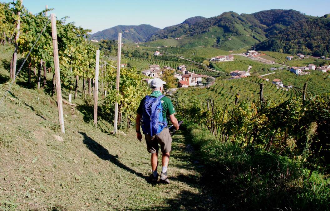 Prosecco: a place where vineyards cling to the sides of endless rolling hills.