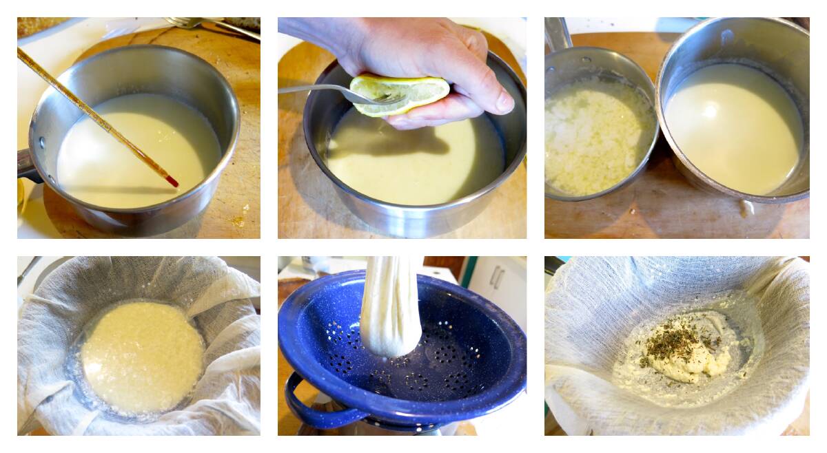 Easy tips for making cheese. You can even try using your own breast milk. Pictures: Hannah Moloney, Good Life Permaculture. 