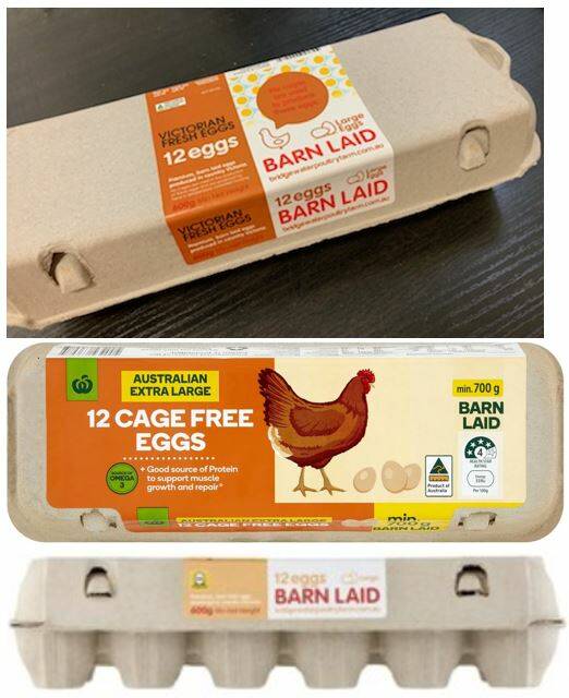Eggs sold at Coles, Woolies recalled