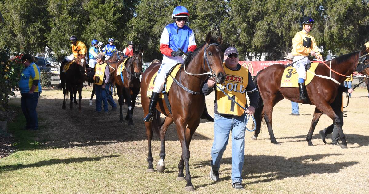 DOUBLE: A Magic Zariz, pictured prior to his last start at Wellington, will be the favourite at Narromine on Sunday. Photo: NICK GUTHRIE