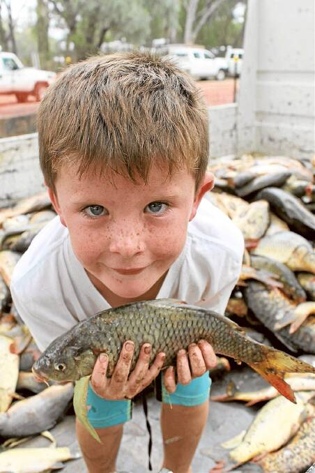 Archie Black, 4, Nyngan, shows off some of the catch at the Bogan River Carp Muster.