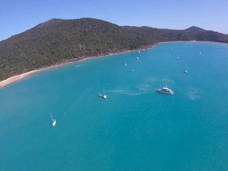 The Whitsundays region has been the site of a number of shark attacks in the last six months.
