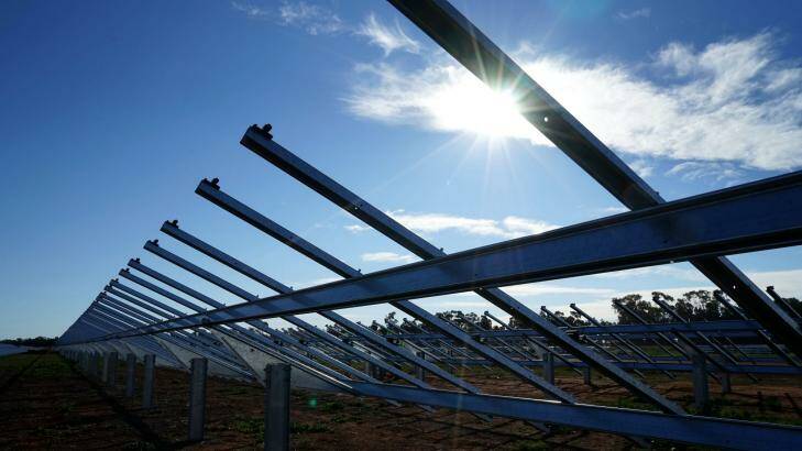 Lining up: AGL's Nyngan solar array awaits PV panels.