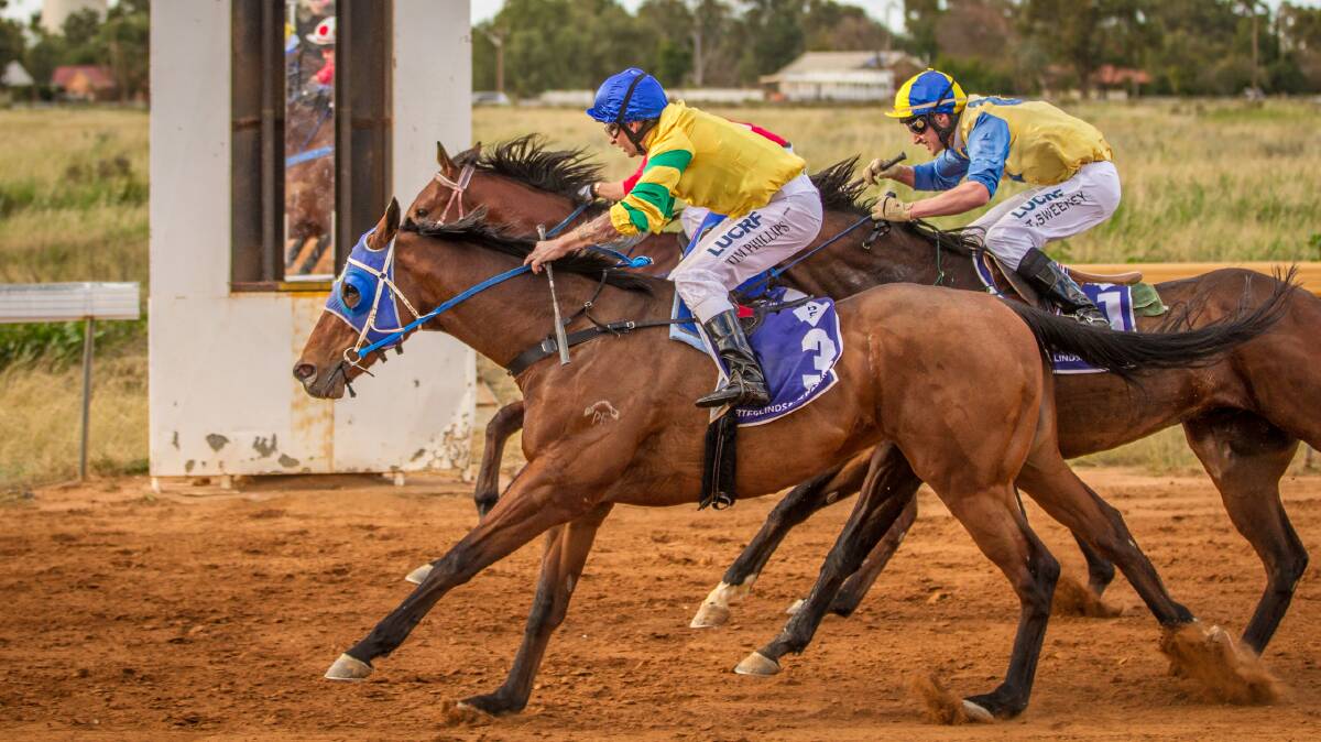 Flashback: Win For Wilson, with jockey Tim Phillips onboard, edges out stablemates Hidden Strategy and Blades Of Glory at Nyngan on Saturday. Photo: Janian McMillan (www.racingphotography.com.au)