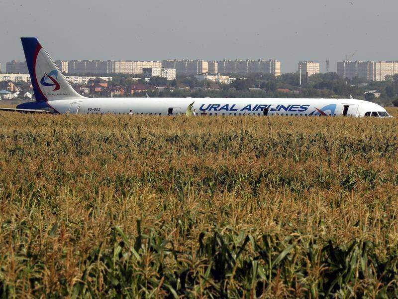 A passenger plane has made an emergency landing in a field near Moscow, injuring at least 23 people.