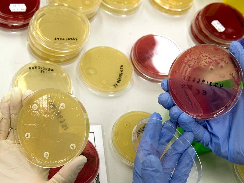 Researchers fear superbugs will claims the lives of 22,000 Australians each year by 2040.