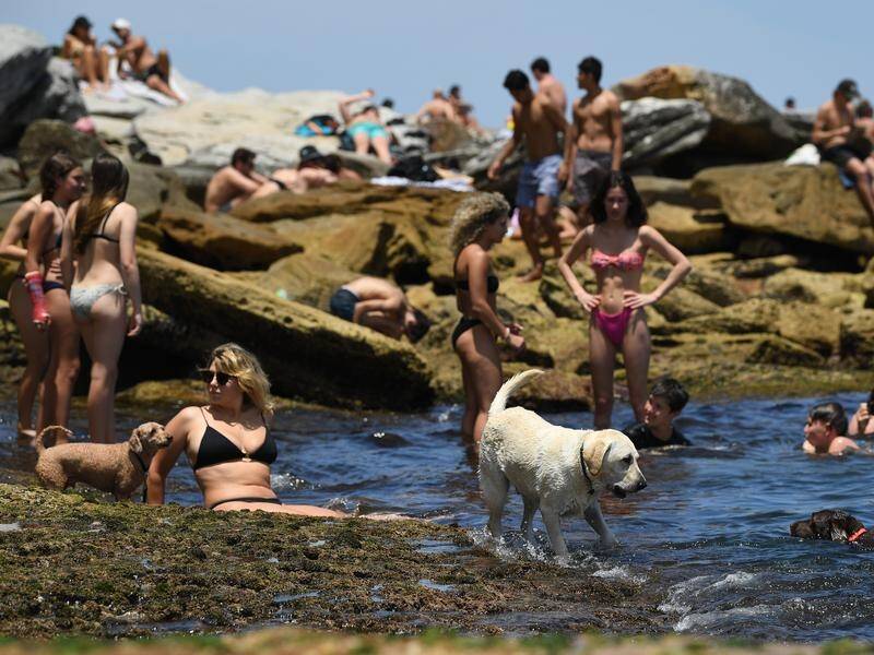 Authorities are urging people to follow distancing rules at crowded NSW beaches.