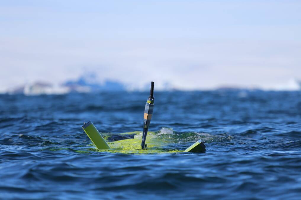 The AUV in action 