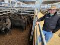 Nutrien Livestock agent Joel Fleming, Tamworth, with a pen of Angus steers that sold for 660 cents a kilogram at Tamworth prime sale on Monday. Photo: Michelle Mawhinney, Tamworth Livestock Selling Agents Association